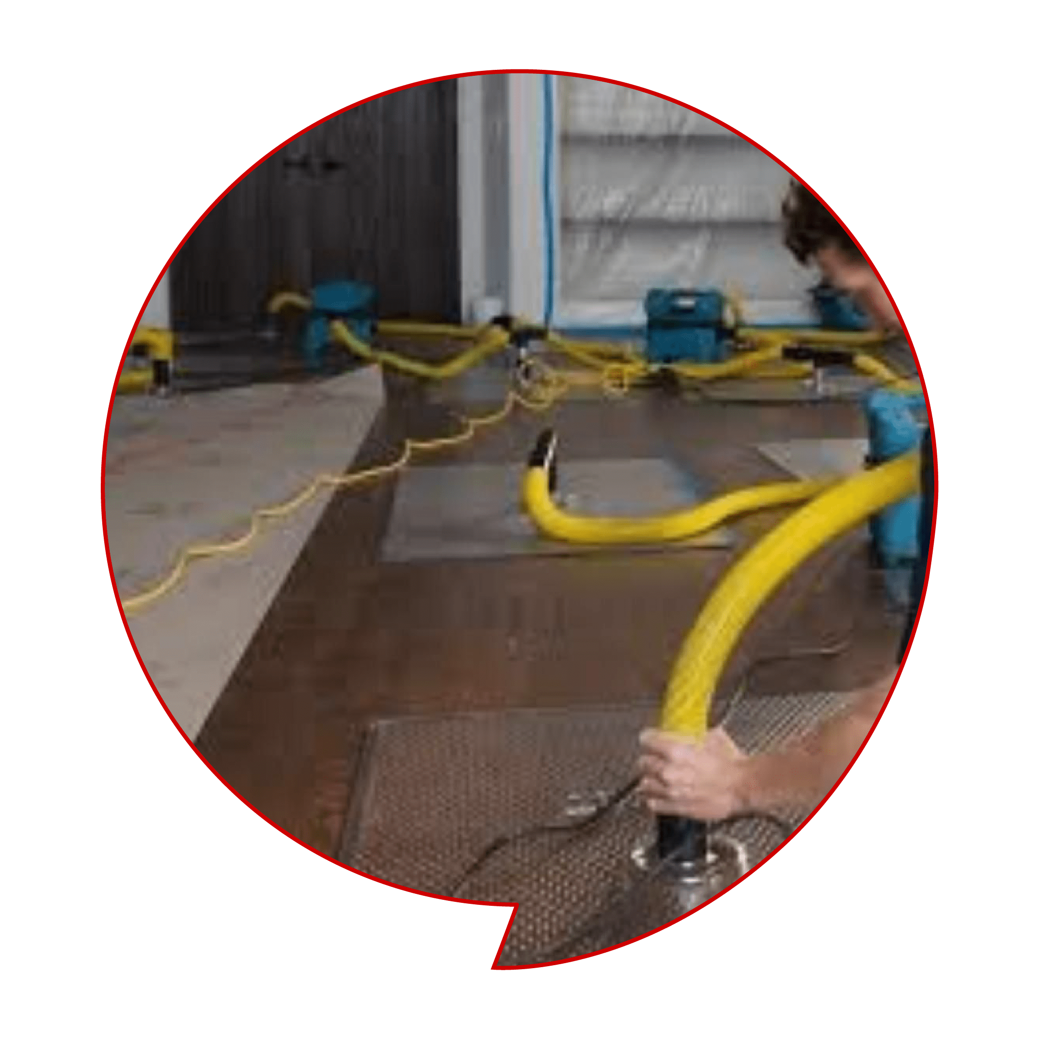 Cipher has a dedicated team to clean all kinds of carpets ranging from Upholstery, curtains, and floor carpet. We have a special team for water extraction